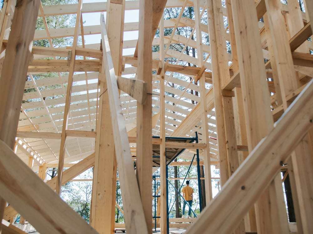 The timber frame of a house among pine trees.